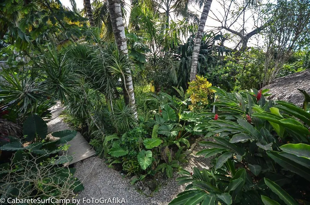 ***  Cabarete Surf Camp Hotel Dominican Republic