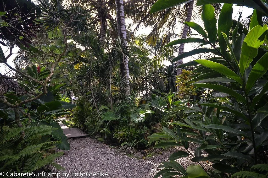 Cabarete Surf Camp Hotel 3*,  Dominican Republic